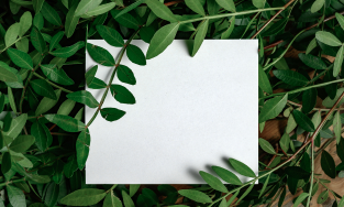 CMD Designers and Printers-Invitation Printing Services,Bangalore